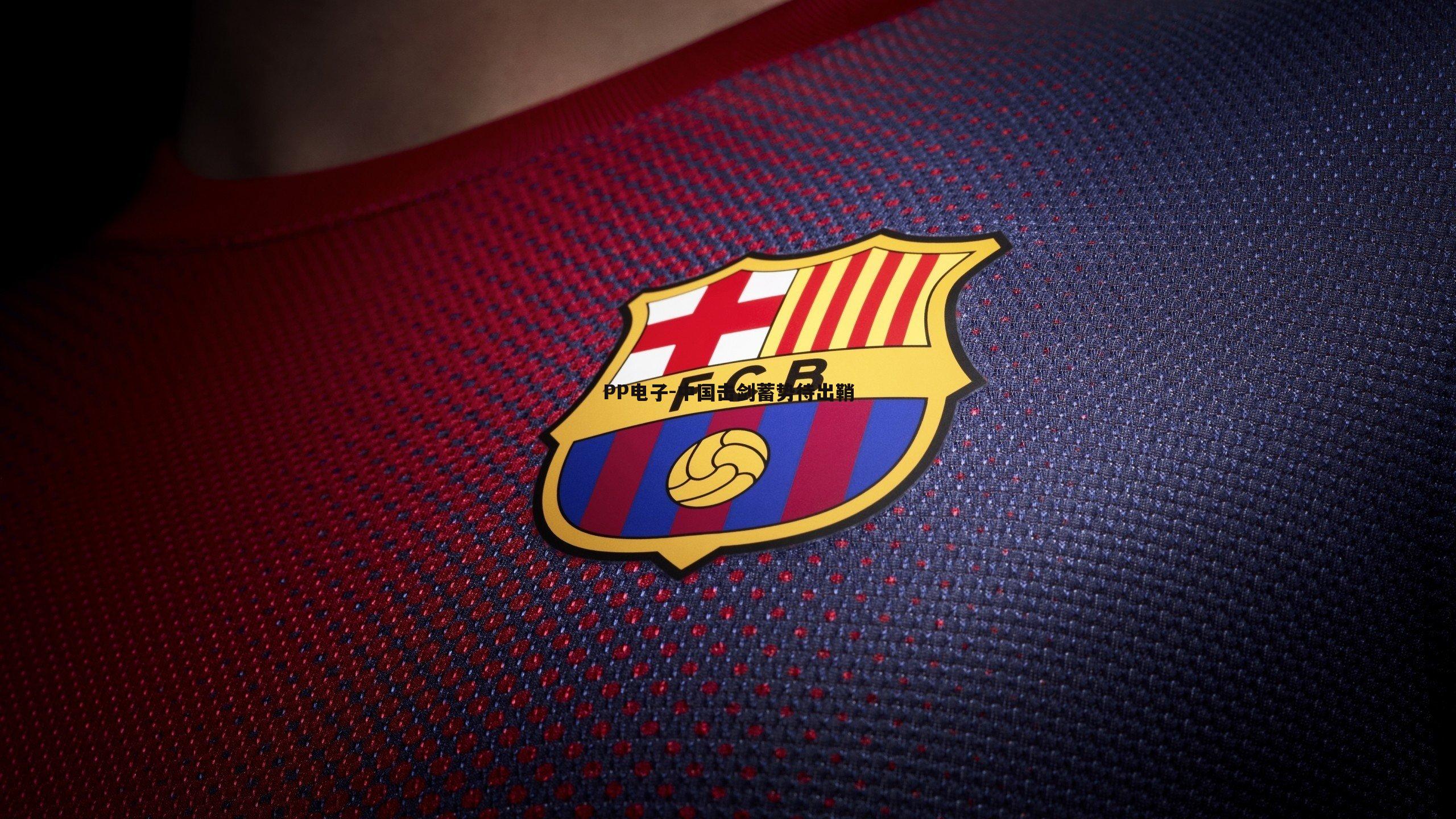 中国击剑蓄势待出鞘